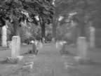 grave reflections 1 (bw).jpg (60kb)